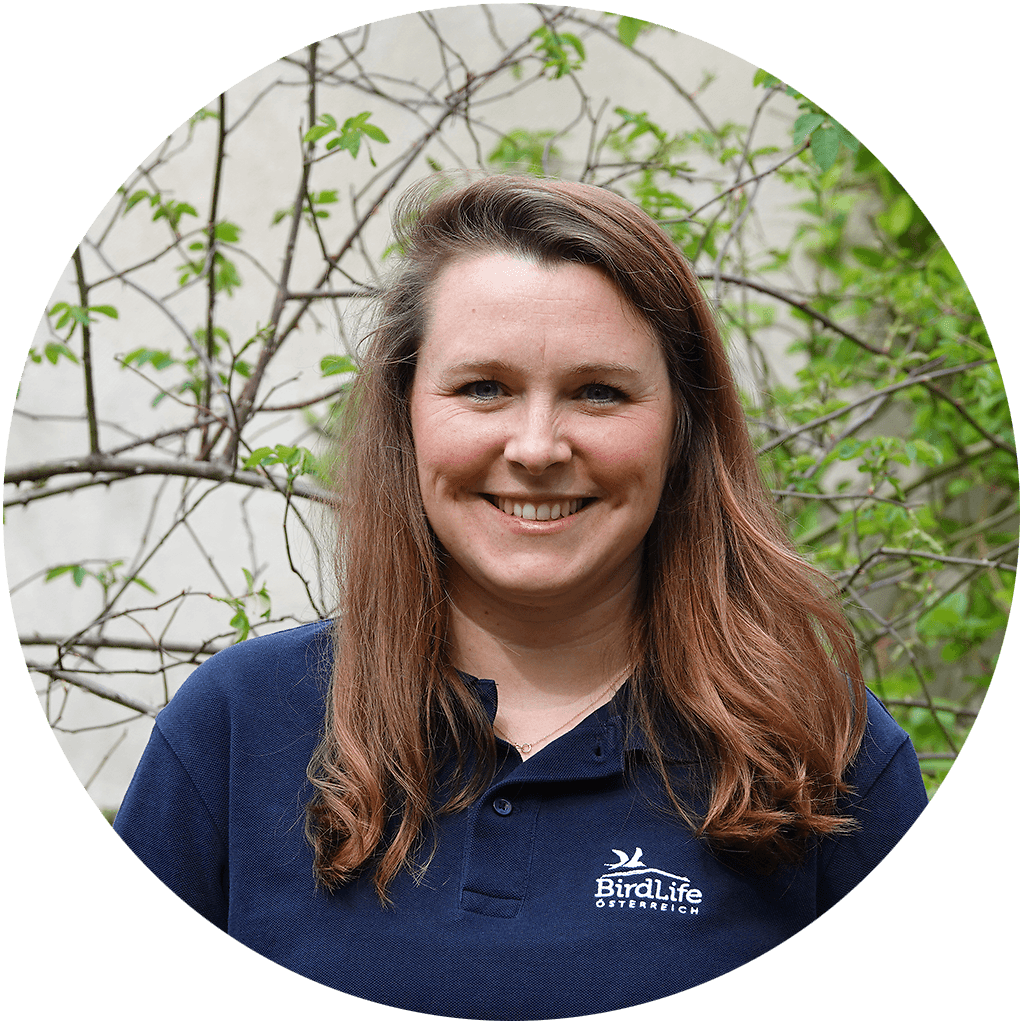 Evelyn_Hofer_c_BirdLife_sterreich