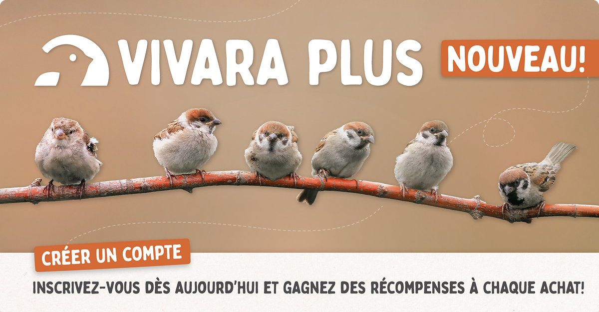 CD-2257_-_Loyalty_Program_-_Landing_Page_Banners_FR_Mobile