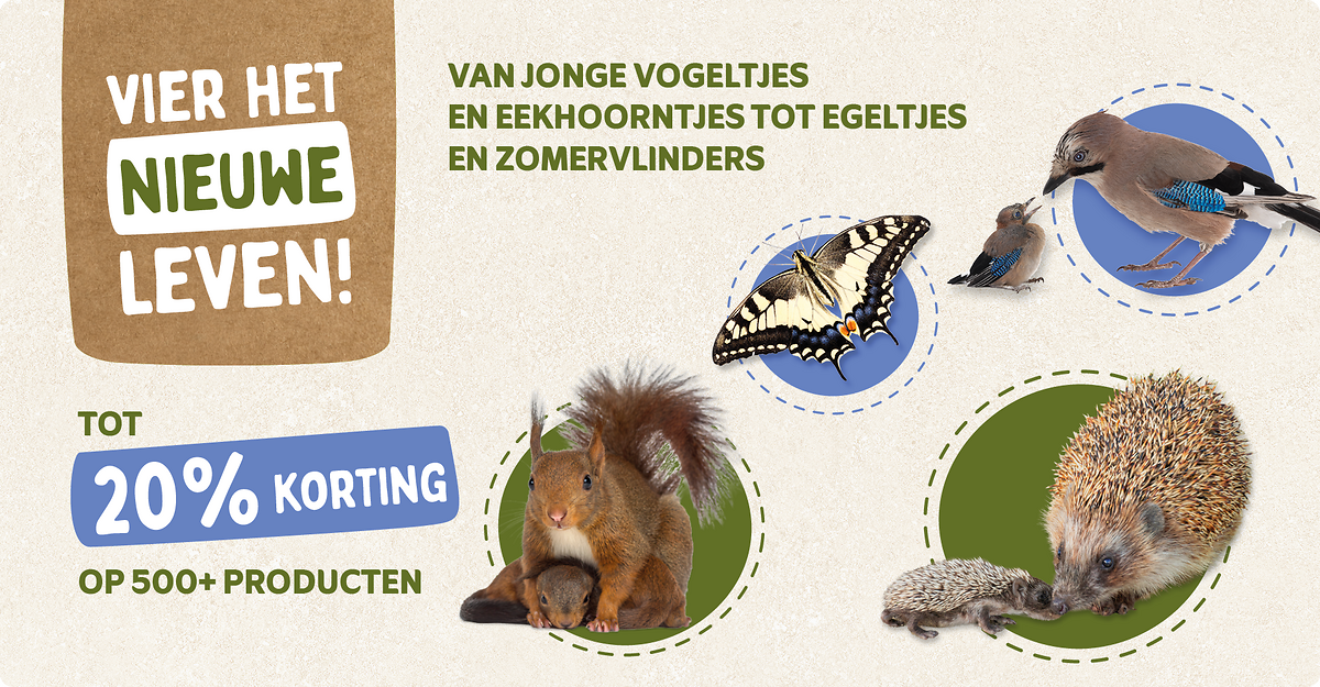 CD-2245_-_Banner_June_Campaign_NL_BE_Landingpage_Mobile