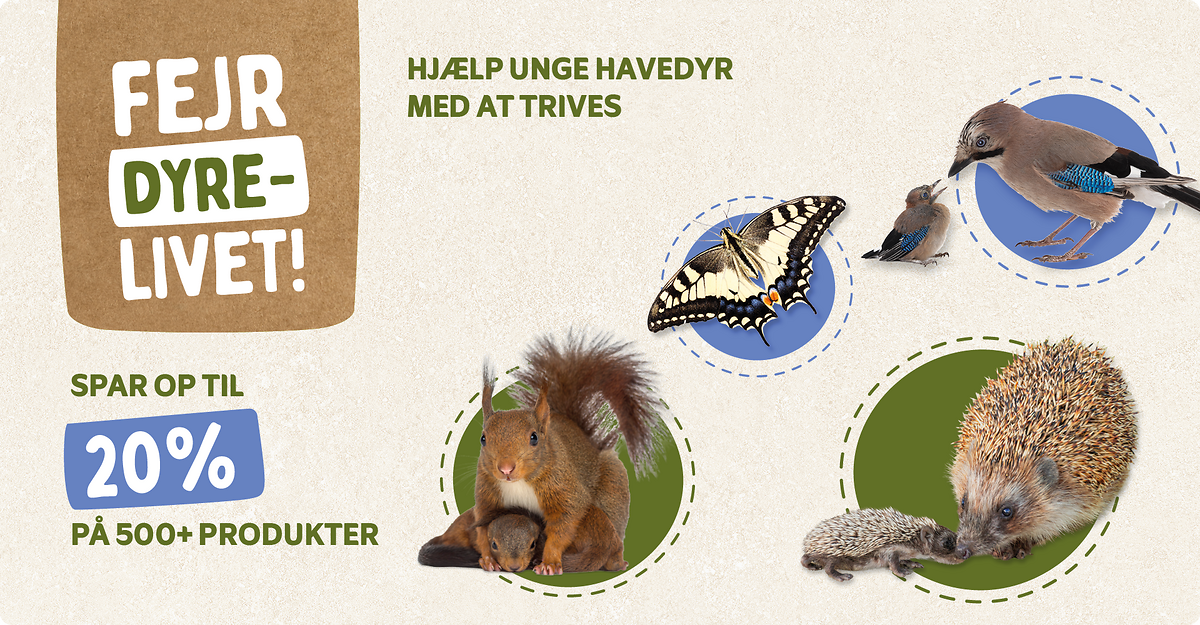 CD-2245_-_Banner_June_Campaign_DK_Landingpage_Mobile