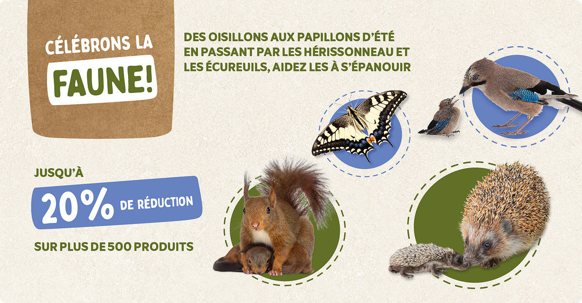 CD-2245_-_Banner_June_Campaign_FR_Landingpage_Mobile