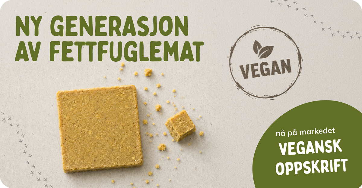 CD-2255_-_Banners_Vegan_Fat_Launch_NO_Landingpage_Mobile