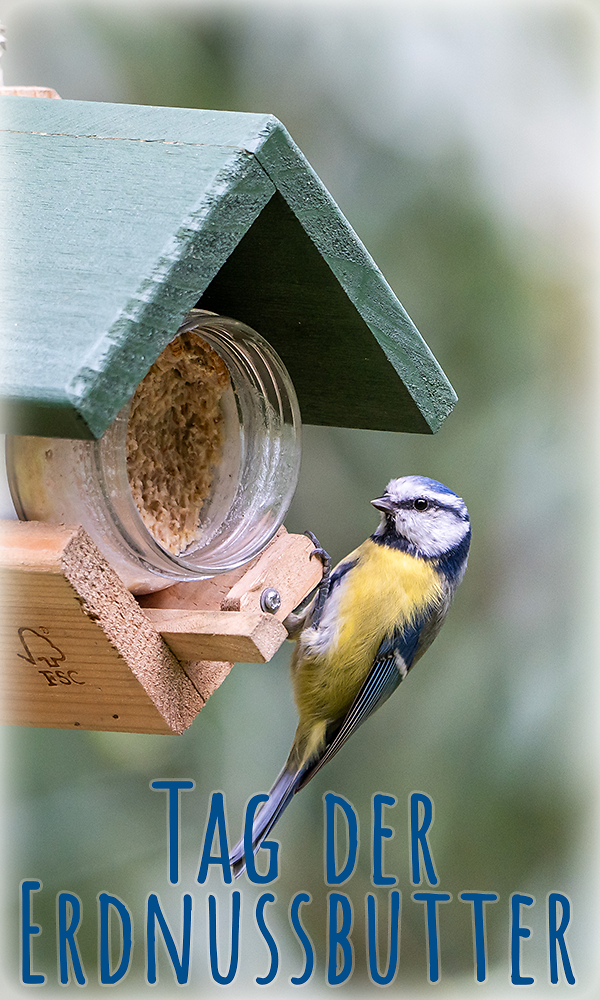 test_visual_tweakwise_at