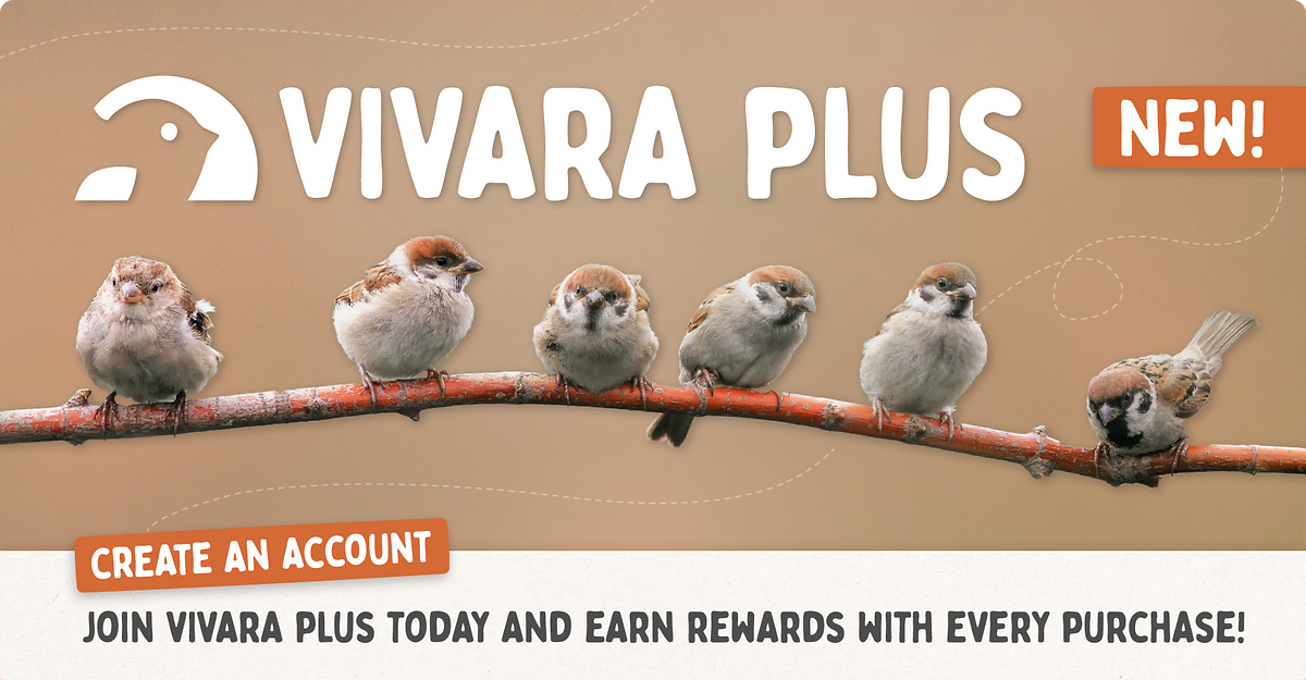 CD-2257_-_Loyalty_Program_-_Landing_Page_Banners_IE_Mobile