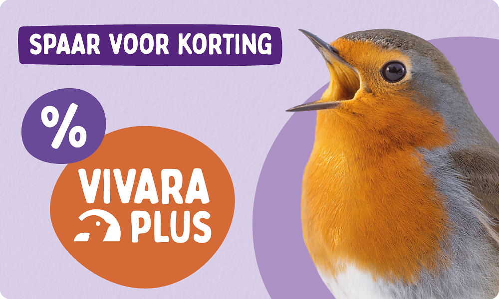 CD-2329_-_Loyalty_Program_-_Banners_NL_Megamenu_Mobile