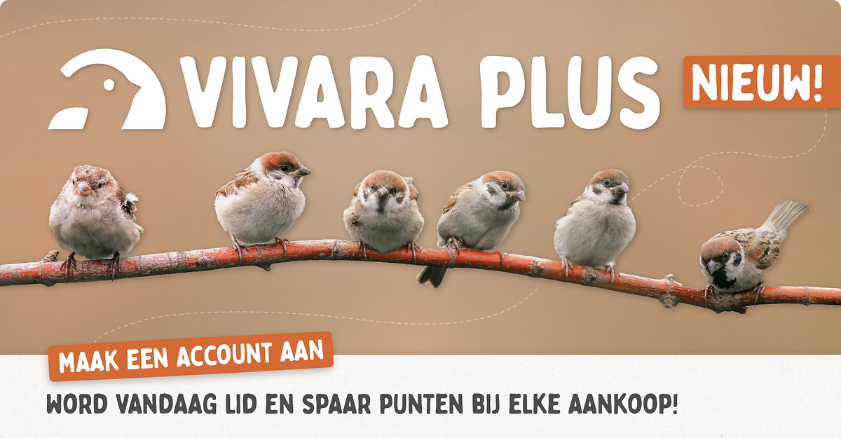 CD-2257_-_Loyalty_Program_-_Landing_Page_Banners_NL_Mobile