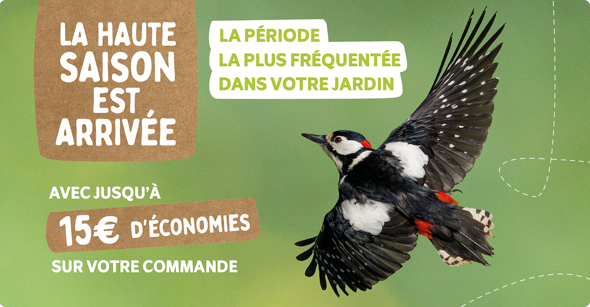 CD-2224_-_May_Campaign_FR_Landingpage_Mobile
