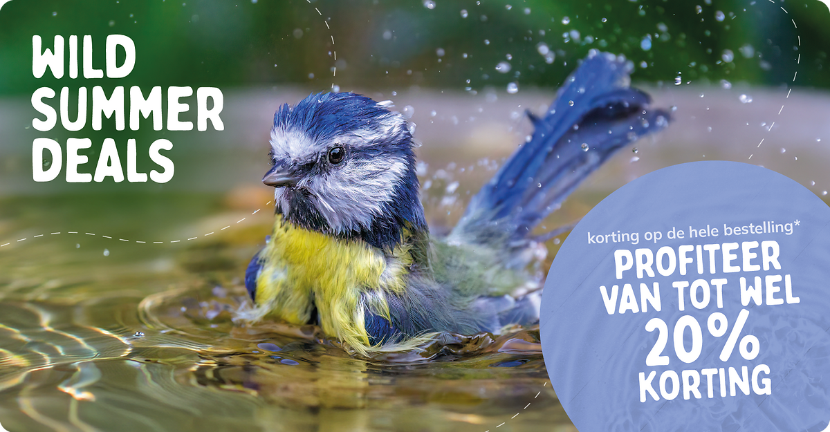 CD-2264_-_July_Main_Campaign_Banner_Sets_NL_Landingpage_Mobile