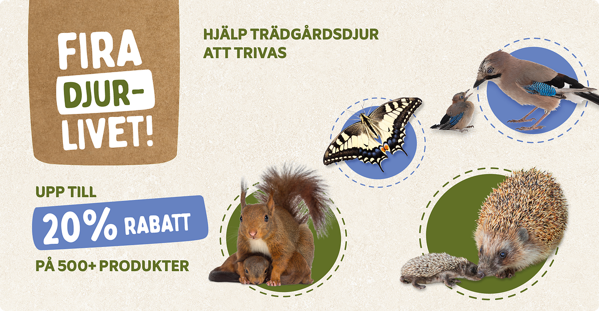 CD-2245_-_Banner_June_Campaign_SE_Landingpage_Mobile