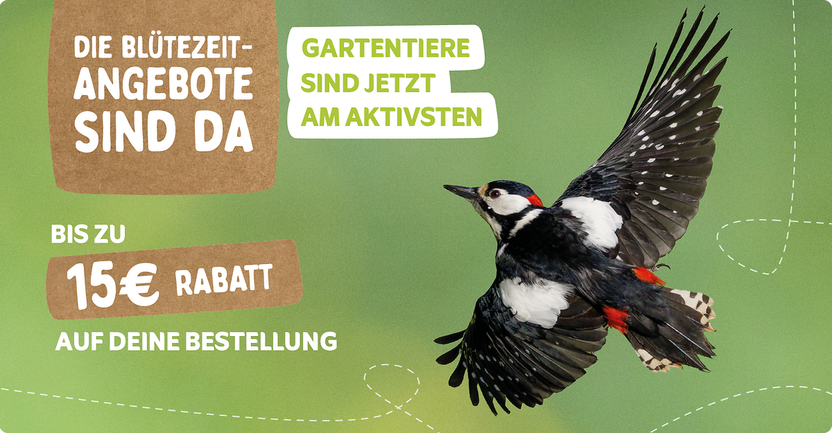 CD-2224_-_May_Campaign_DE_Landingpage_Mobile