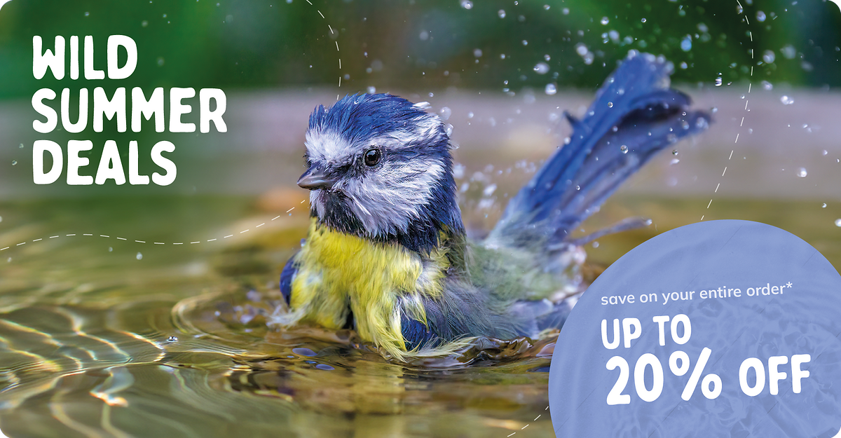 CD-2264_-_July_Main_Campaign_Banner_Sets_UK_Landingpage_Mobile_1