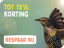CD-2308_-_August_Main_Banner-Bird_NL_Megamenu