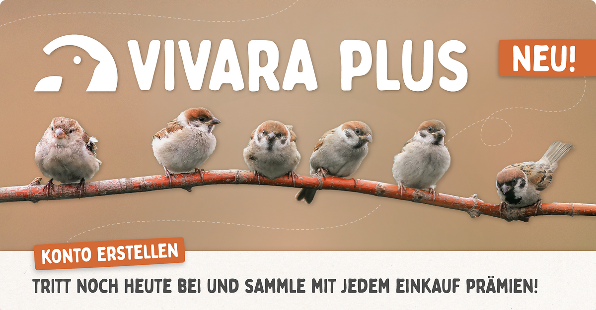 CD-2257_-_Loyalty_Program_-_Landing_Page_Banners_DE_Mobile_1
