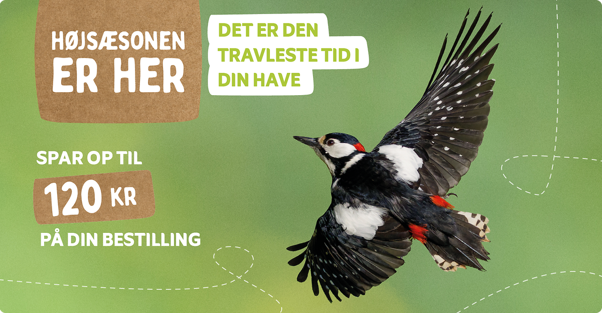 CD-2224_-_May_Campaign_DK_Landingpage_Mobile
