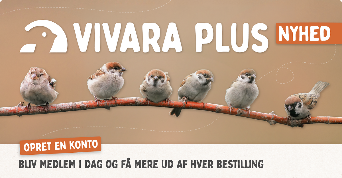 CD-2257_-_Loyalty_Program_-_Landing_Page_Banners_DK_Mobile
