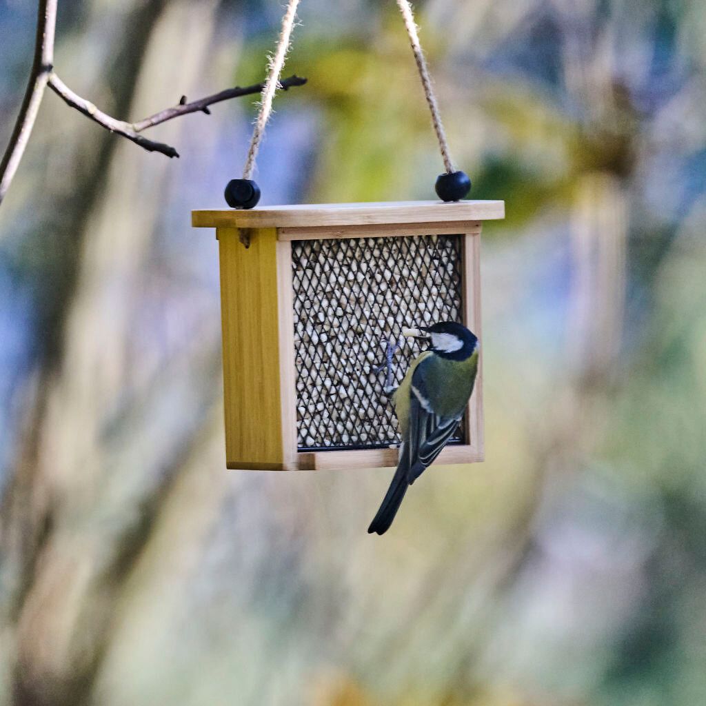 112180119_CJ_Vegan_Suet_Pellets_1kg_JD_01
