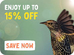 CD-2308_-_August_Main_Banner-Bird_UK_Megamenu