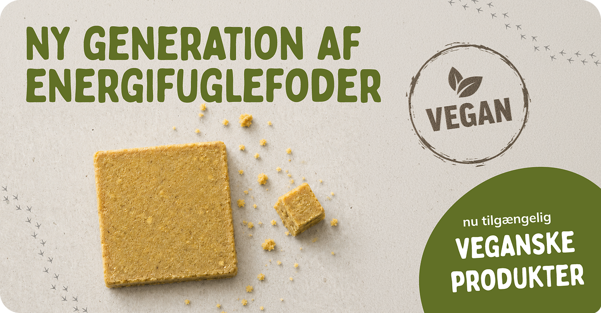 CD-2255_-_Banners_Vegan_Fat_Launch_DK_Landingpage_Mobile