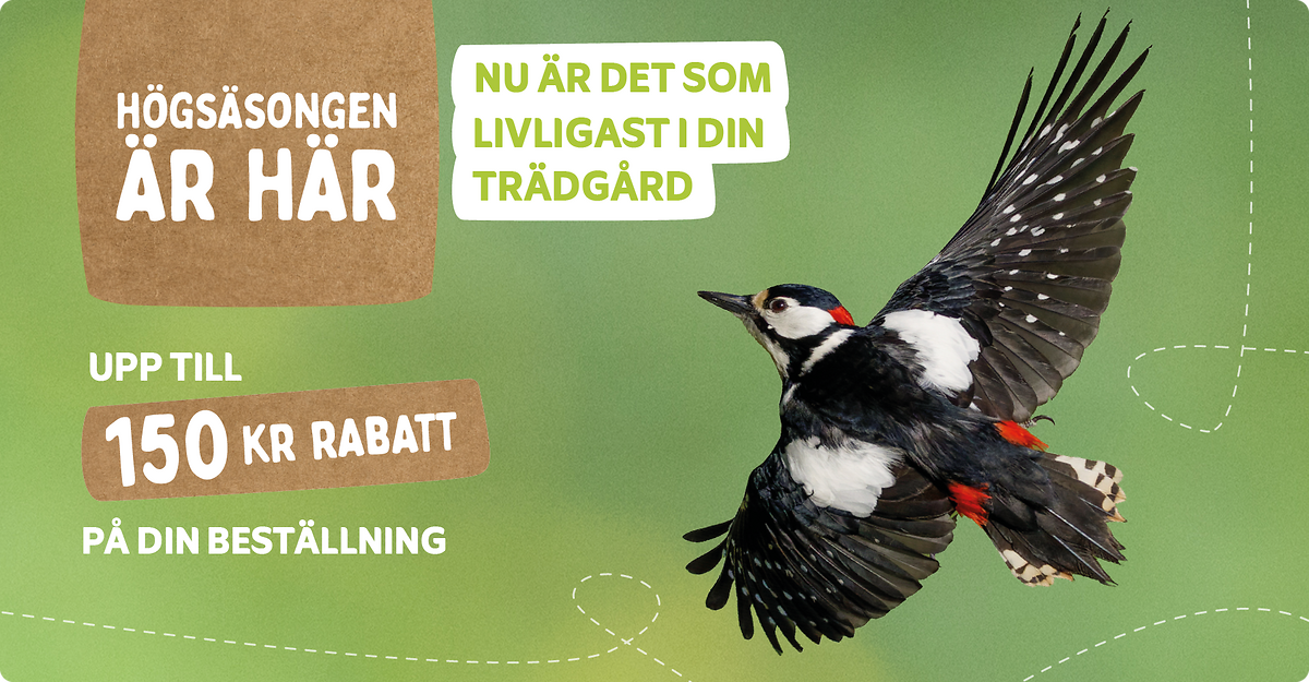 CD-2224_-_May_Campaign_SE_Landingpage_Mobile