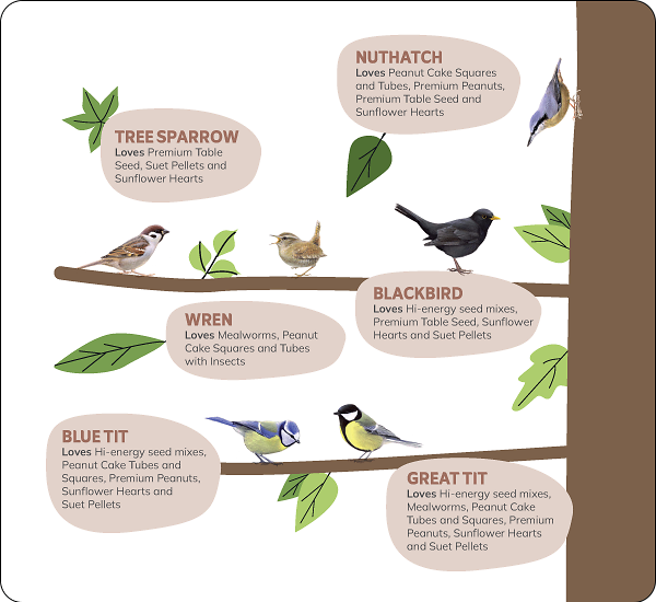 CD-2203_Bird_Introduction_2