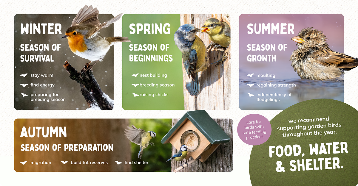 CD-2343_-_Infographic_4-season_v1