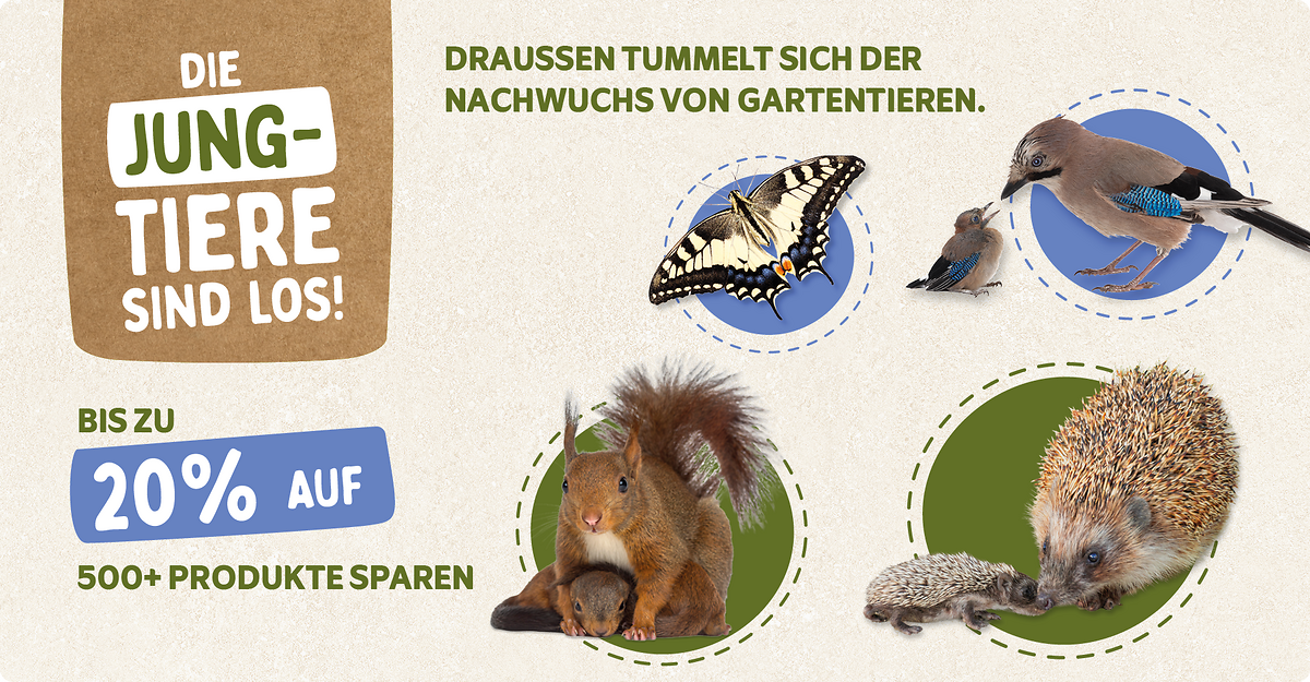 CD-2245_-_Banner_June_Campaign_DE_AT_Landingpage_Mobile