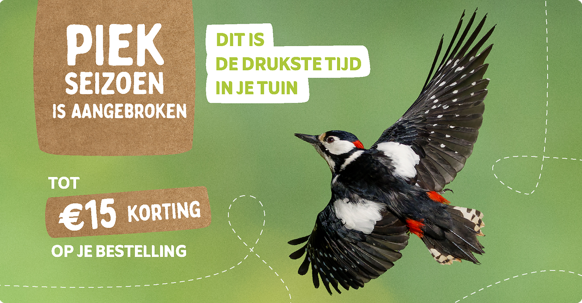 CD-2224_-_May_Campaign_NL_Landingpage_Mobile_2.0