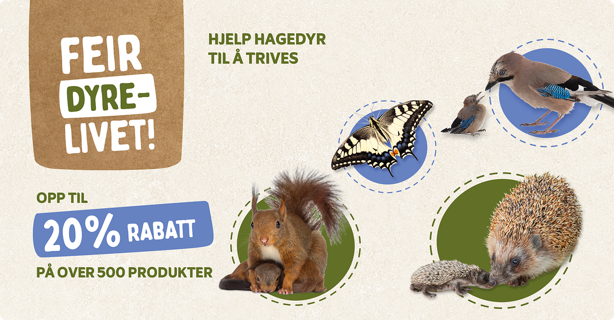CD-2245_-_Banner_June_Campaign_NO_Landingpage_Mobile