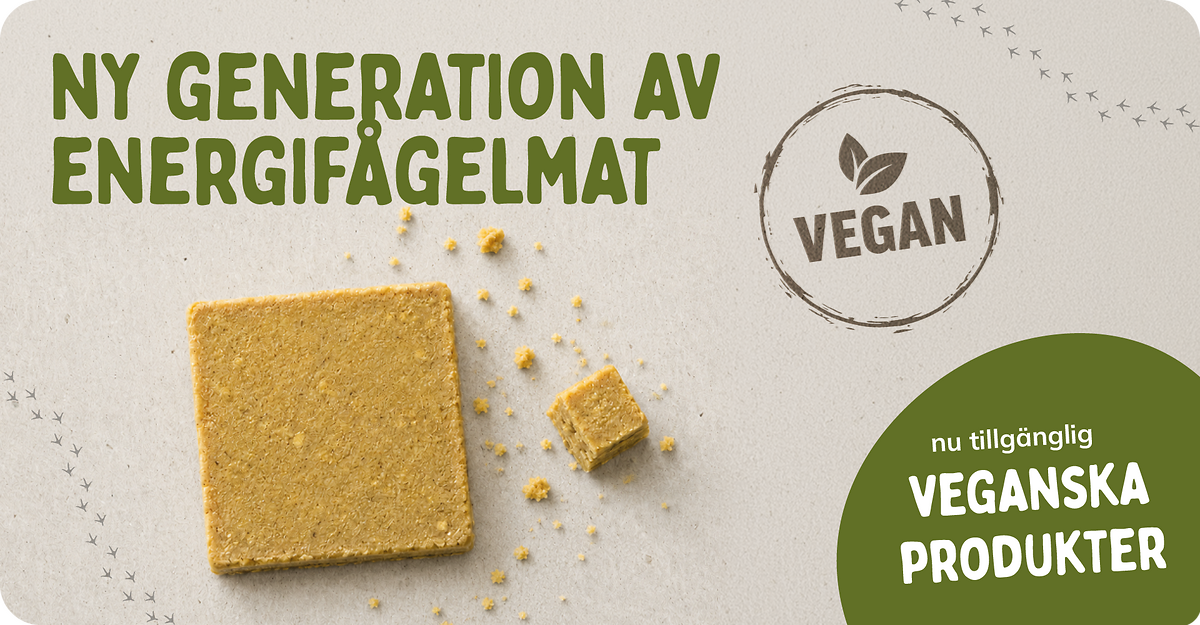 CD-2255_-_Banners_Vegan_Fat_Launch_SE_Landingpage_Mobile