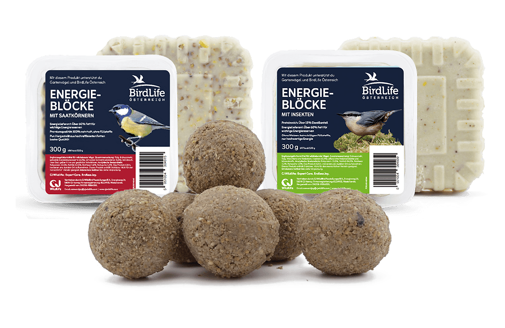 2 Packungen mit BirdLife Österreich Fettblöcken - im Vordergrund ist ein 6er-Pack Meisenknödel abgebildet.