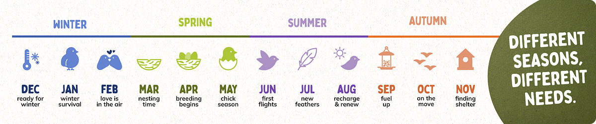 CD-2343_-_Infographic_Year_Round_Feeding_v12