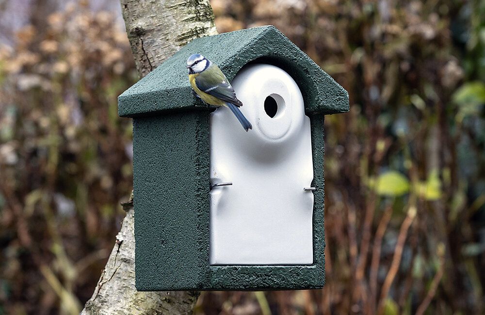 holzbeton_nistkasten_birdlife_oesterreich