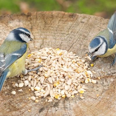 110400120_hi-energy_puur