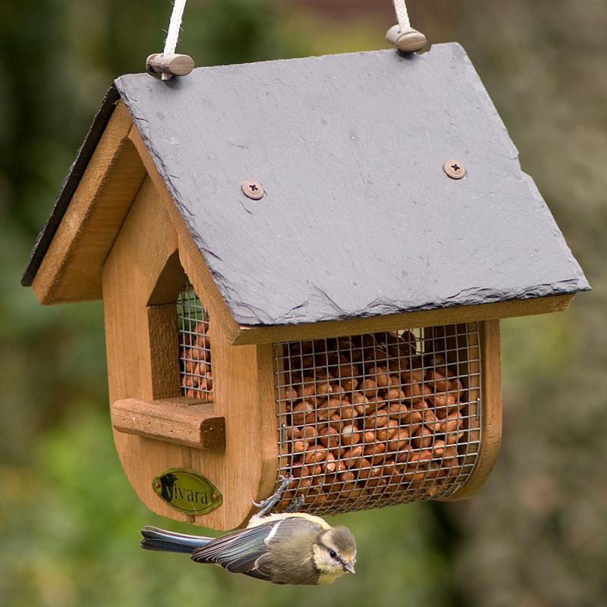 Un petit oiseau se suspend à une mangeoire et mange des cacahuètes