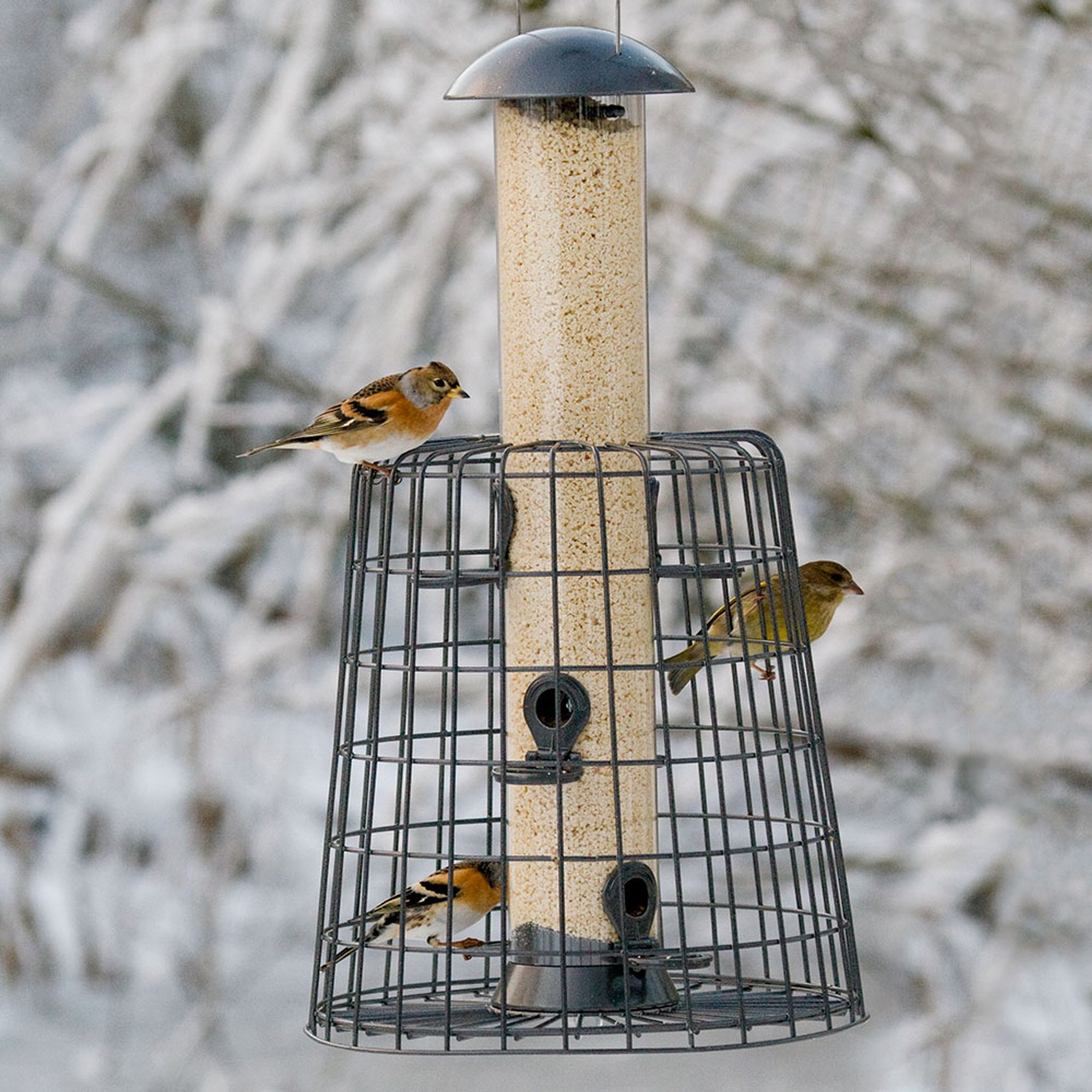 Infographic about different types of nest boxes