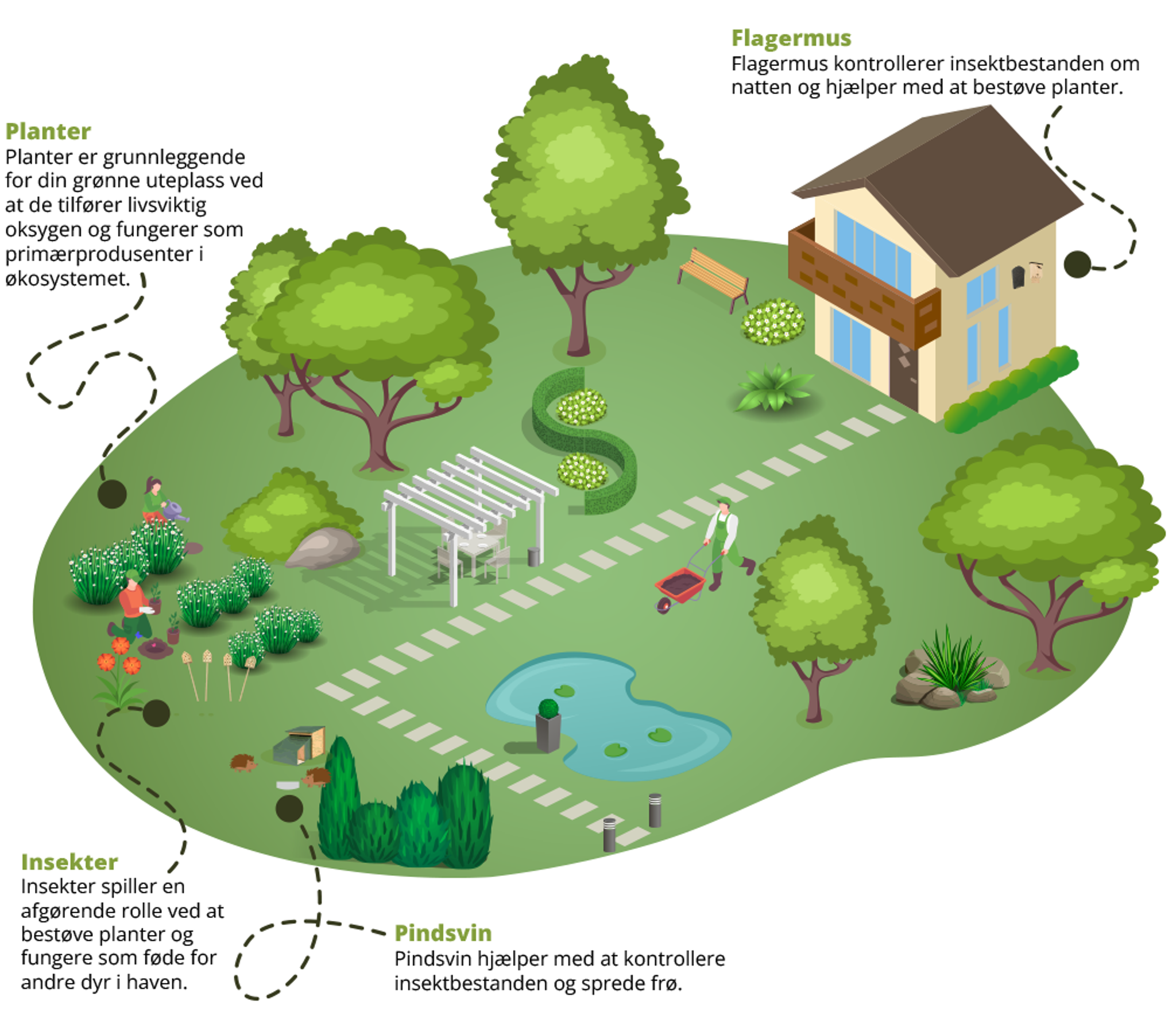 Your garden, your green living room