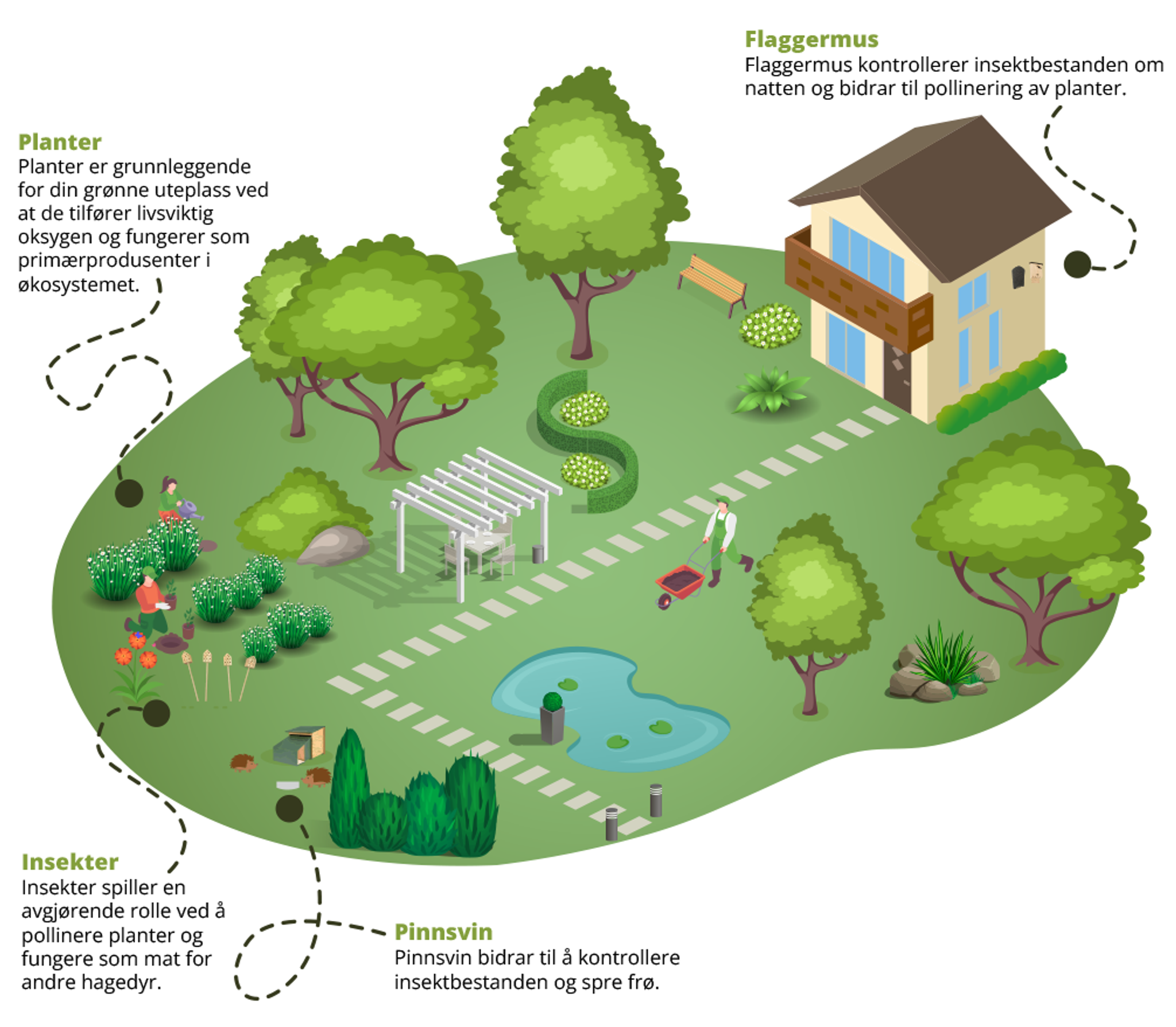 Your garden, your green living room