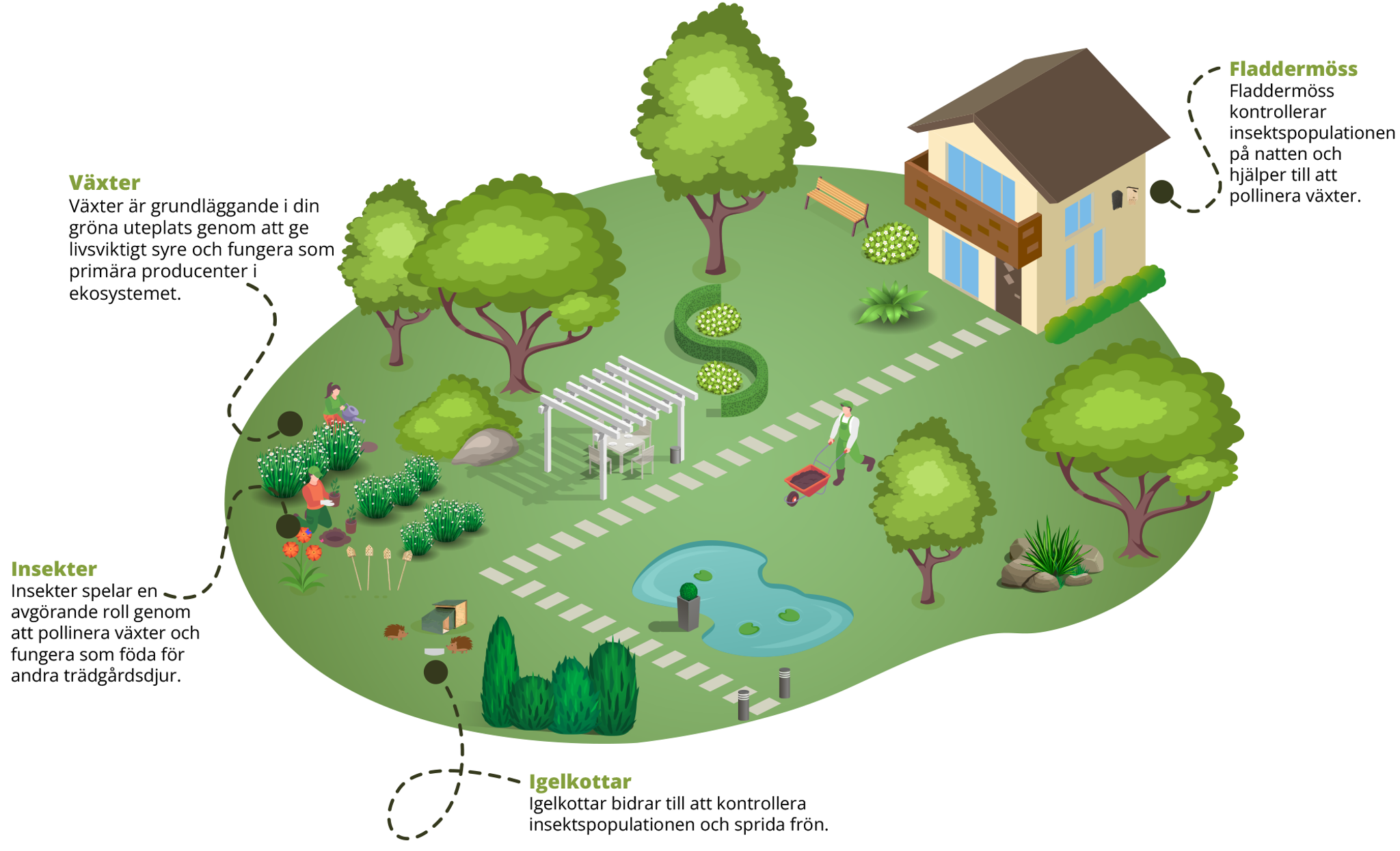 Your garden, your green living room