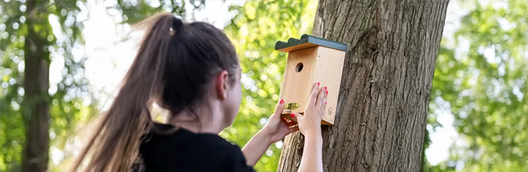 Wo sollte man einen Nistkasten aufhängen? 