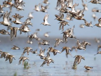 Najaar door Arjan Dwarshuis