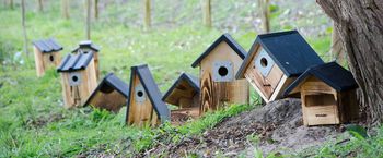 Hang nu een nestkast op