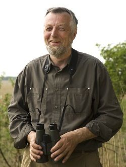 Zwerfmezen in uw tuin