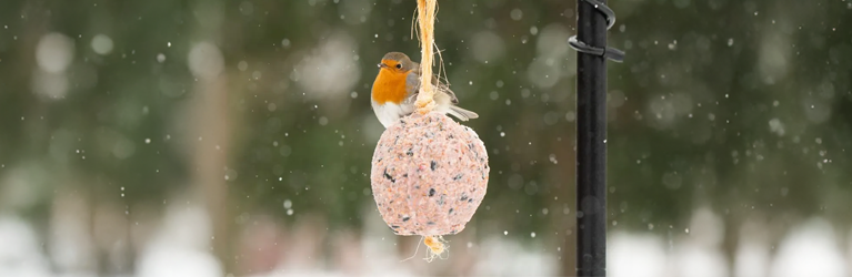 Snel opvetten is noodzakelijk