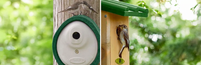 Vogels delen geen voordeur!