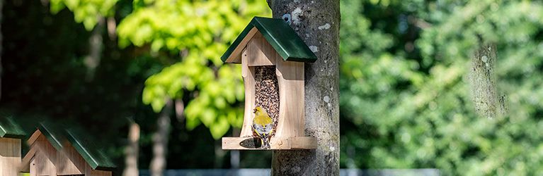 Wat stop je in een voederhuisje?