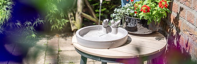 Zo reinig je een vogelbad