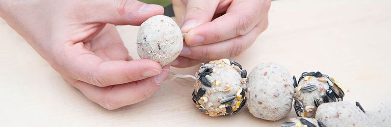 How to make fat balls yourself