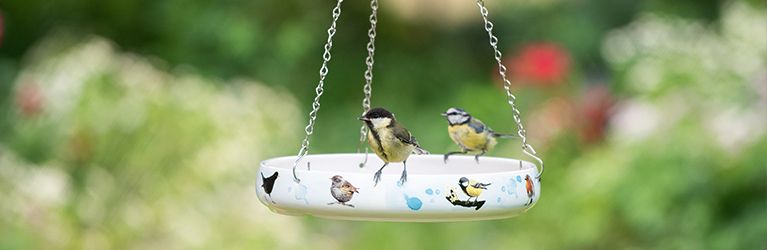 Het perfecte vogelbad