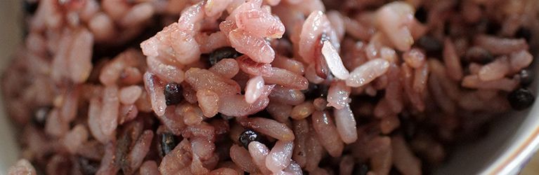 Les oiseaux peuvent-ils manger du riz ? Démystification d’un mythe courant 