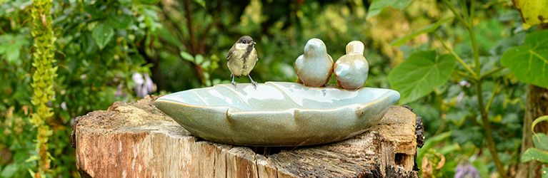 Wat is een vogelbad?